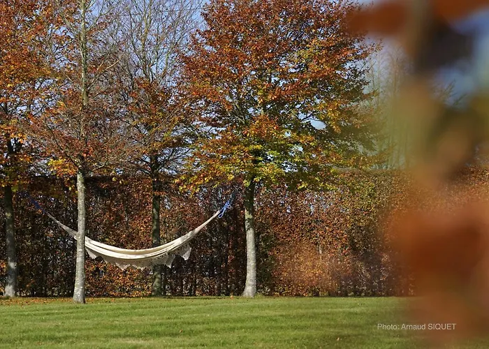 Appartement Dolce Weismes